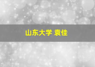 山东大学 袁佳